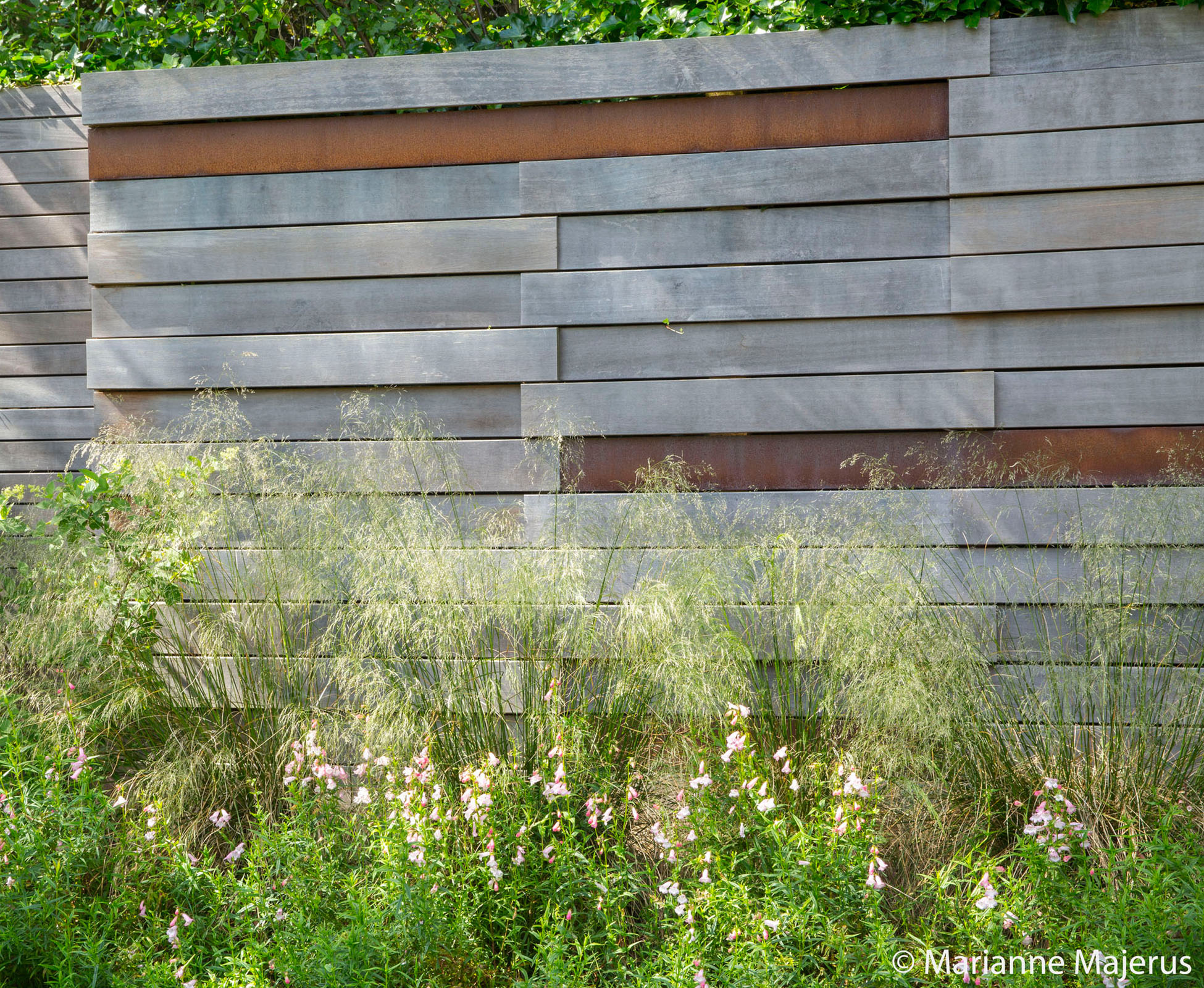 This feature is designed using hardwood timber and recessed corten strips details. Some grasses at the front soften the limit between the lawn and the vertical line. 