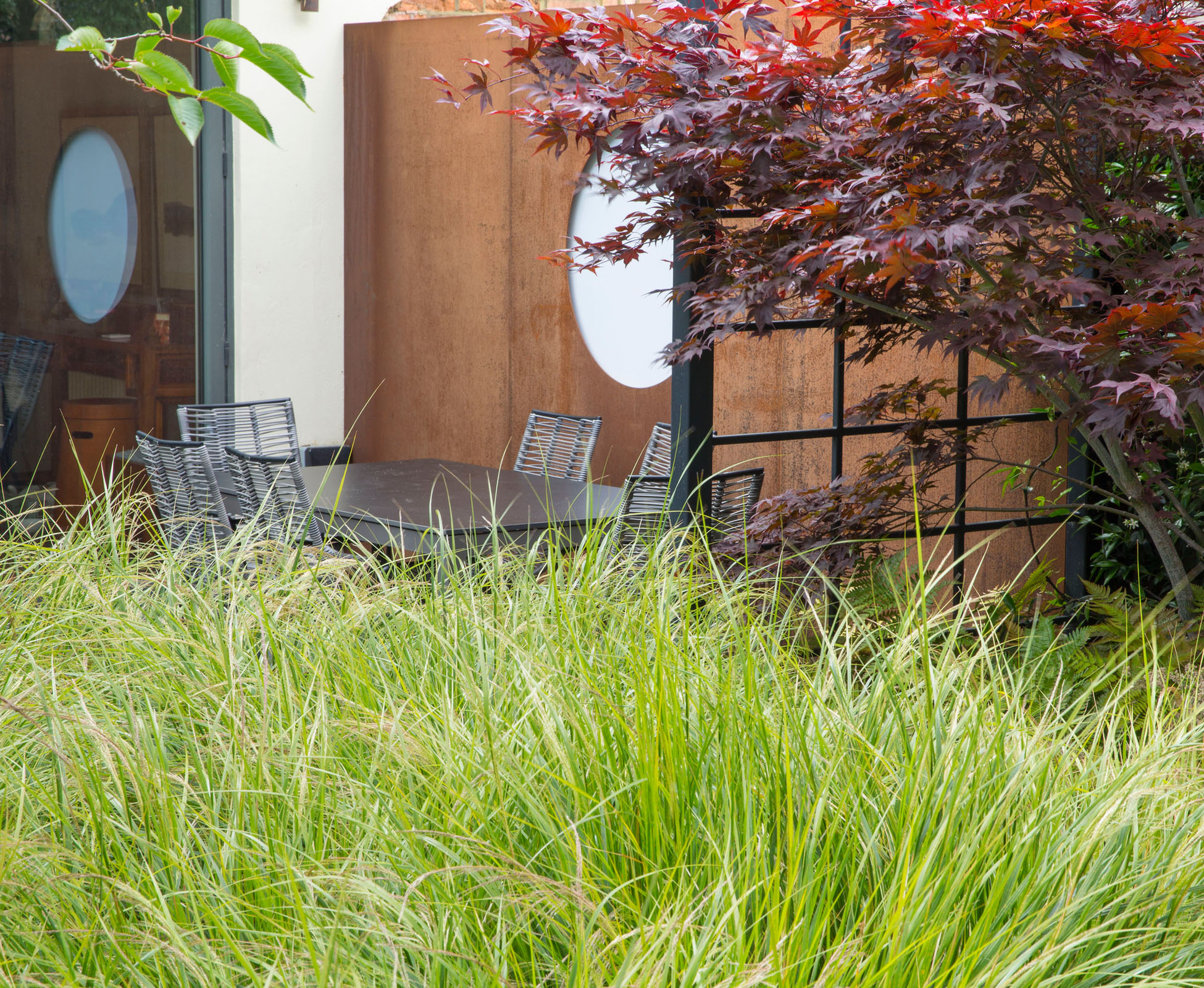 Anemanthele lessoniana sways in the wind, creating a soft mound, to separate the decked seating area from the main patio. An Acer palamtum ‘Atropurpureum’ frames the path.