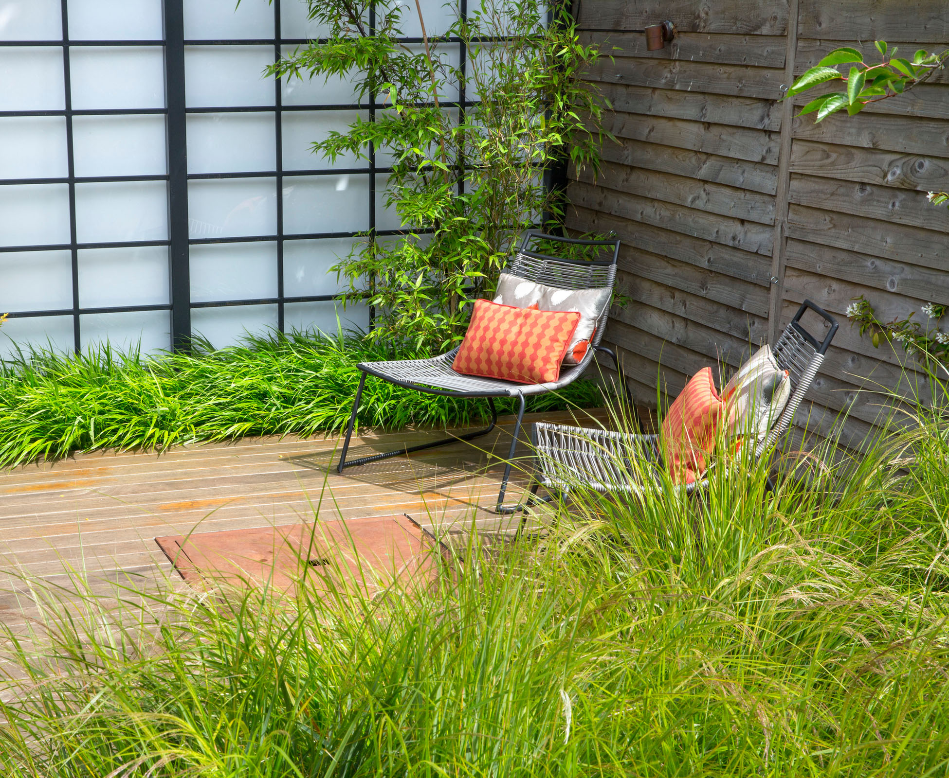 Towards the back of this Queen’s park garden, a white perspex and steel frame help to disguise a shed for storage. A row of soft ferns is planted in front, with a lime green Japanese Maple, echoing the purple foliage in its shape.