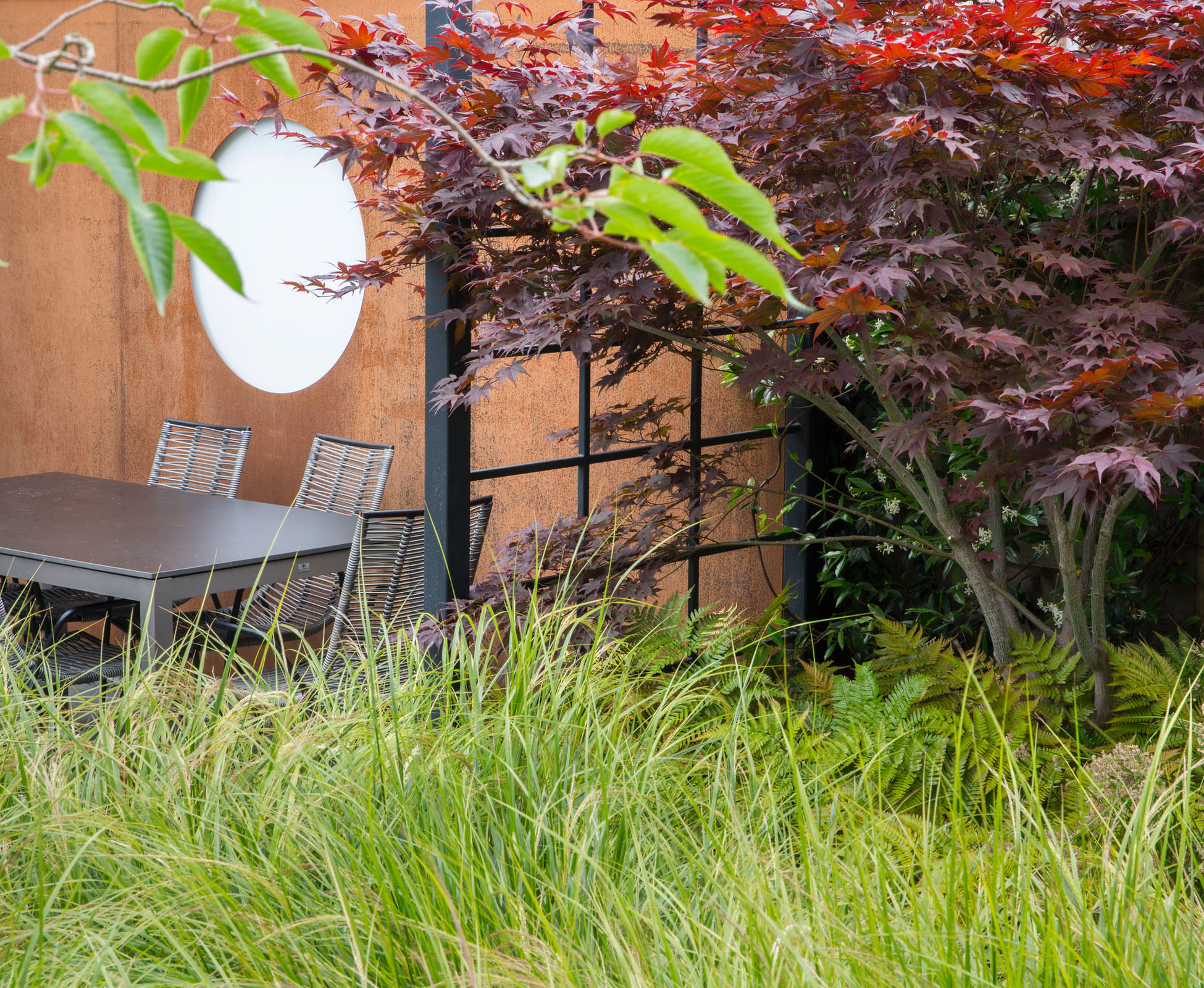 Anemanthele lessoniana sways in the wind, creating a soft mound, to separate the seating area from the main patio. An Acer palamtum ‘Atropurpureum’ frames the path.