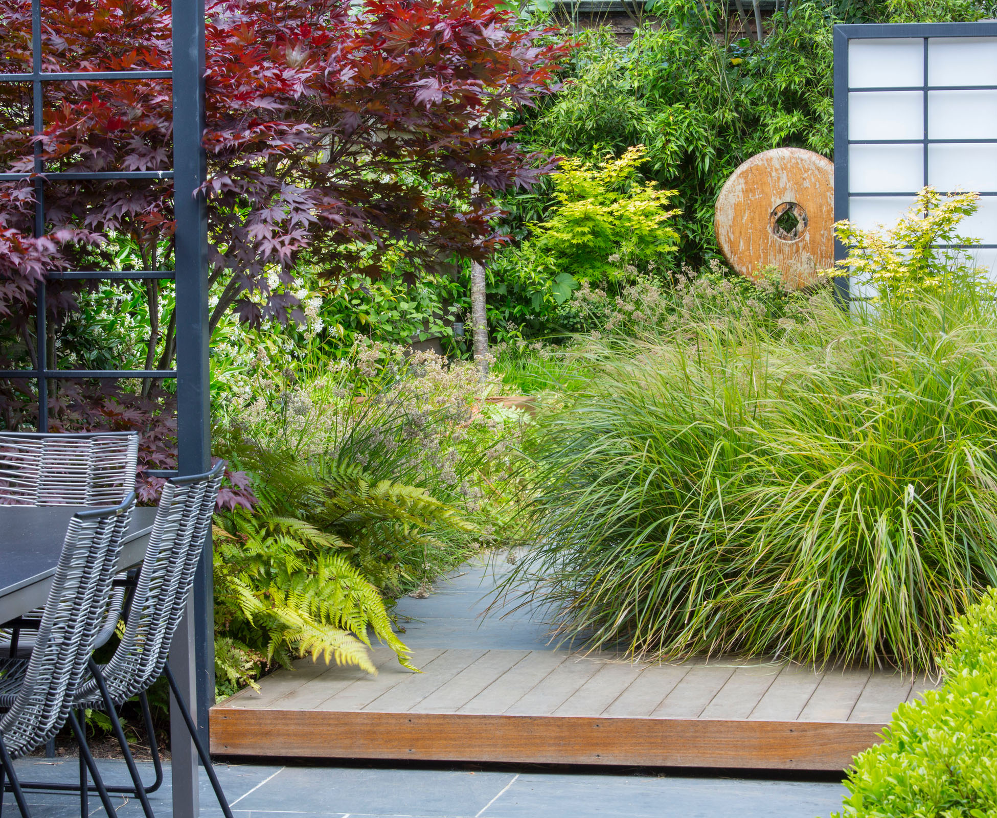 A shadow gap under the hardwood timber step lightens the construction. The grasses planted en mass, Anemanthele lessoniana, and the evergreen ferns, Dryopteris x erythrosora, overhang creating an inviting path.