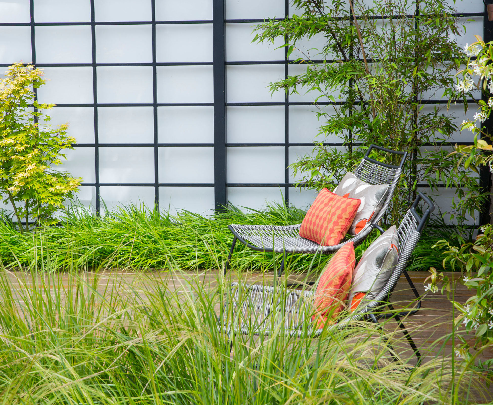 The perspex installed in the powder coated steel frame hides the shed at the back of this Queen’s Park garden. Some comfortable chairs are sitting on the hardwood timber deck, surrounded by lush evergreen planting beds.
