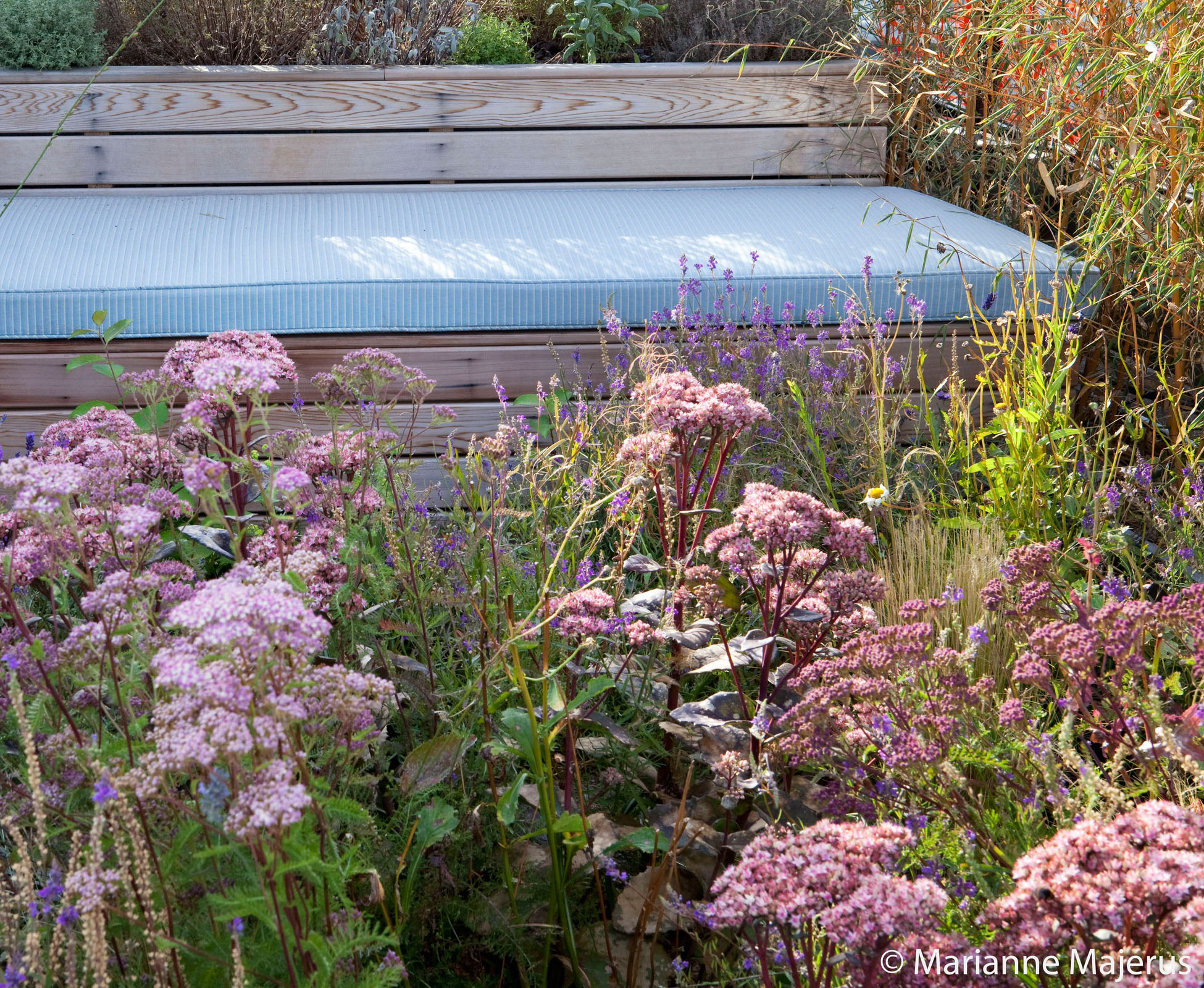 A bespoke built-in timber bench sits on the edge of the planting bed. The custom made mattress is weatherproof and can stay outside all year round on this rooftop garden in the heart of the city of London, Shoreditch.