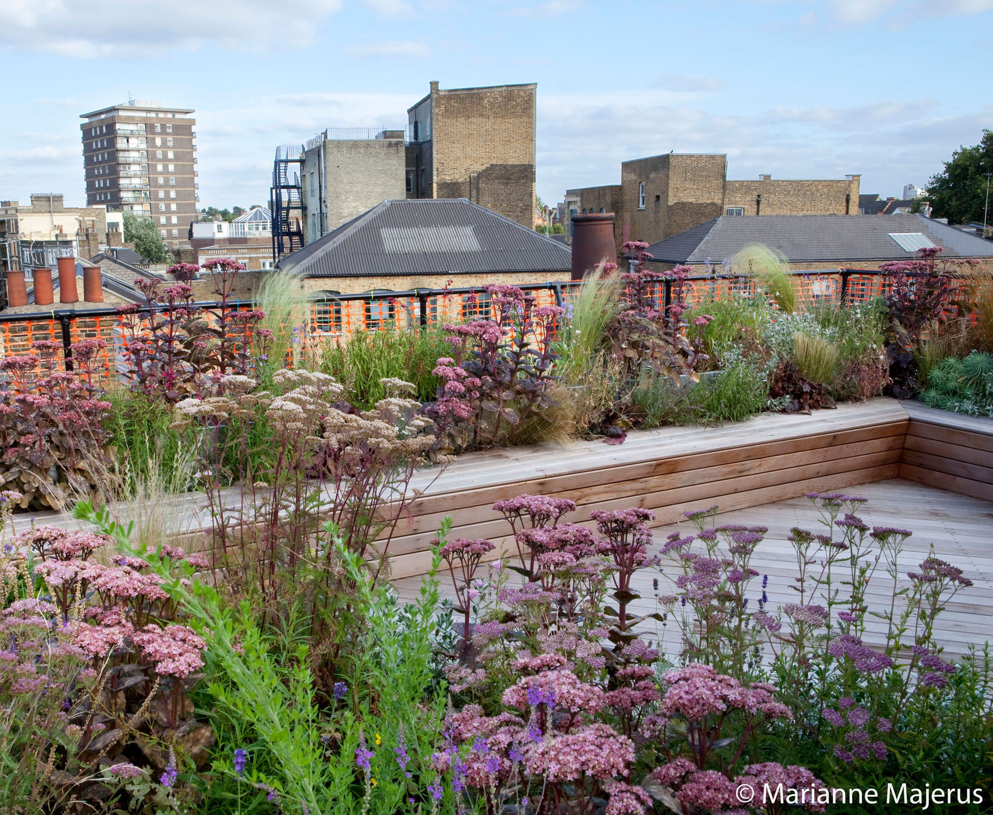 The repetition of plants in this dry prairie style planting makes it look more natural, as the herbaceous blend together, intermingling their flowers. The pinks and whites provide a soft foreground before the blue sky and East London skyline and the city.