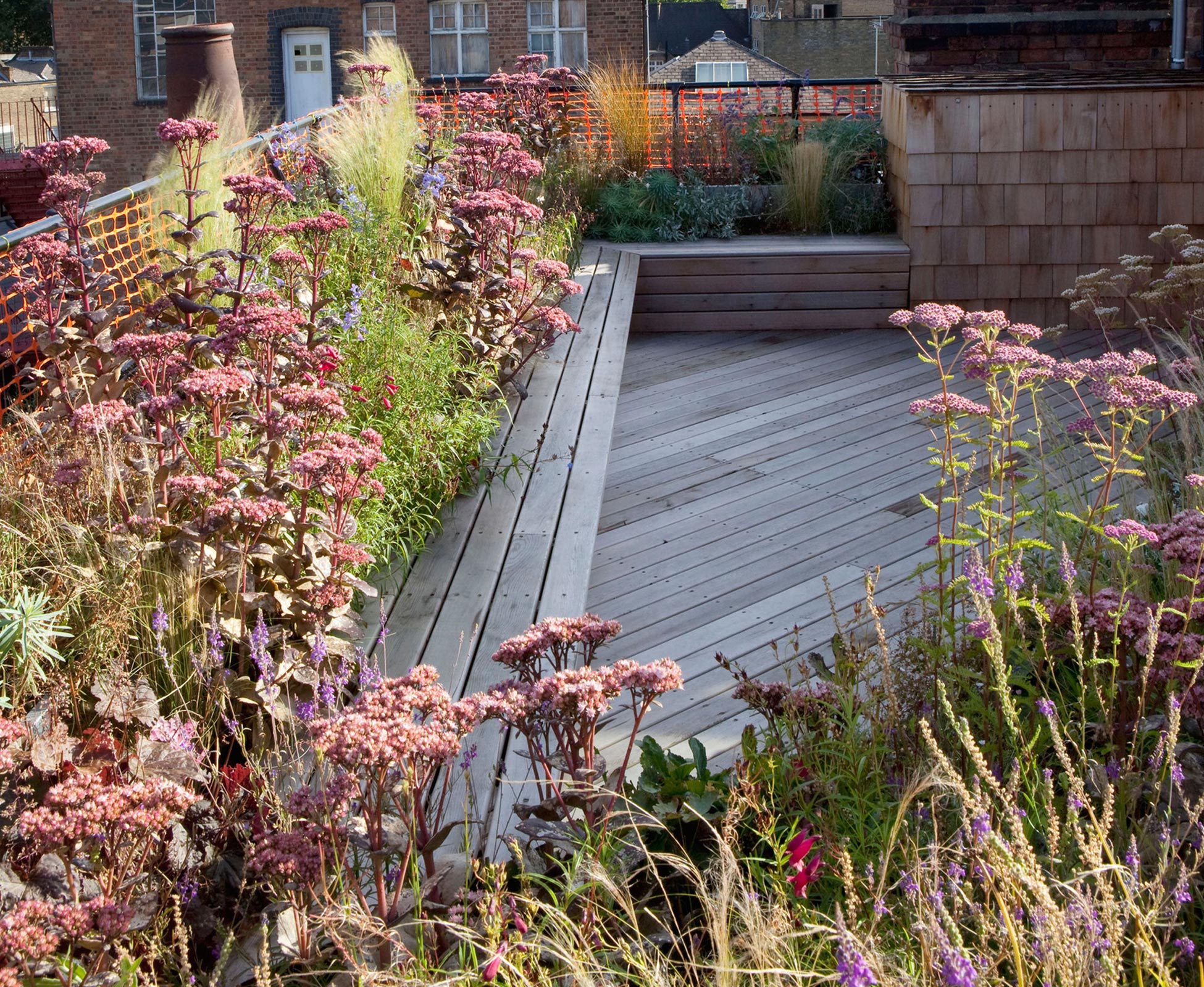 The lush planting and the grasses catch the morning and afternoon sun light in the heart of London city. The vistas are enjoyable from the built-in timber bench, wrapping around the deck.