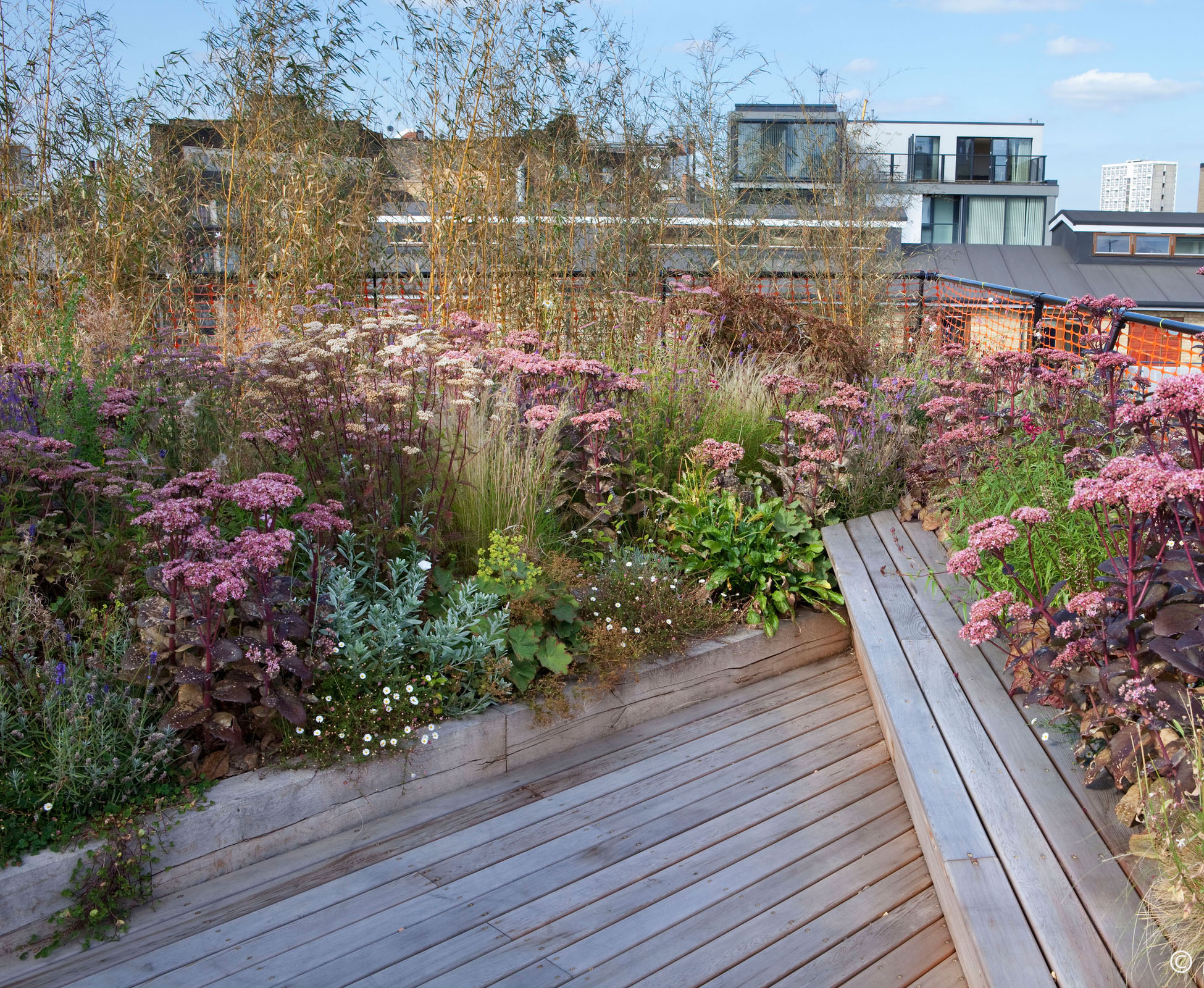 Shoreditch Roof Terrace