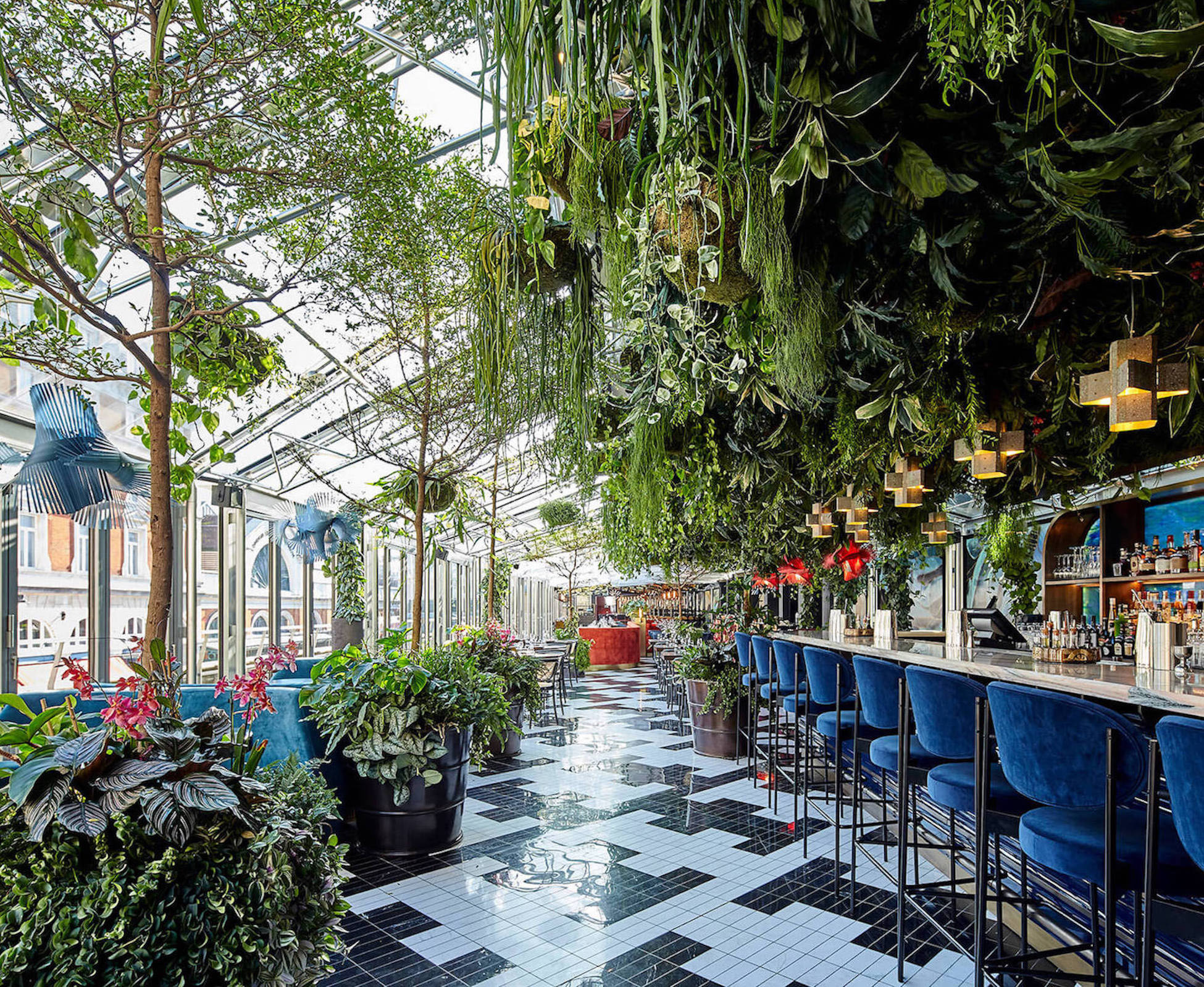On entering SushiSamba the avenue of Bucida trees merges with the cascading plants enveloping the customer in an exotic forest of tropical plants