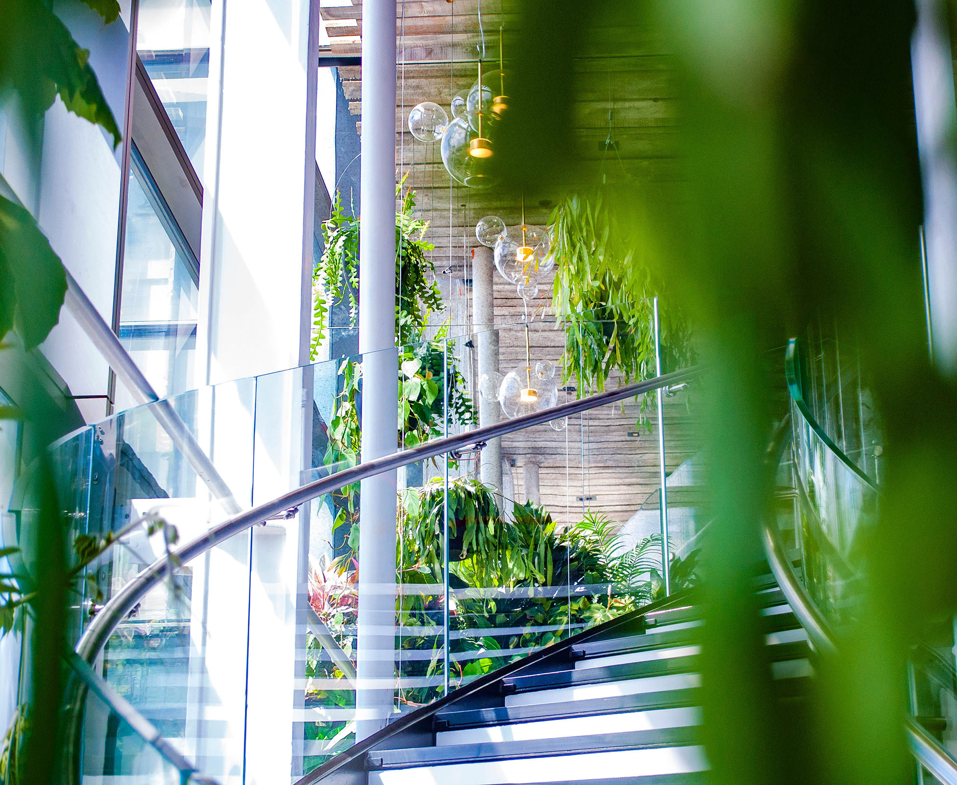 The beautiful curved staircase with  transparent balustrade, merges into the  lush green atmosphere at SushiSamba Heron Tower.