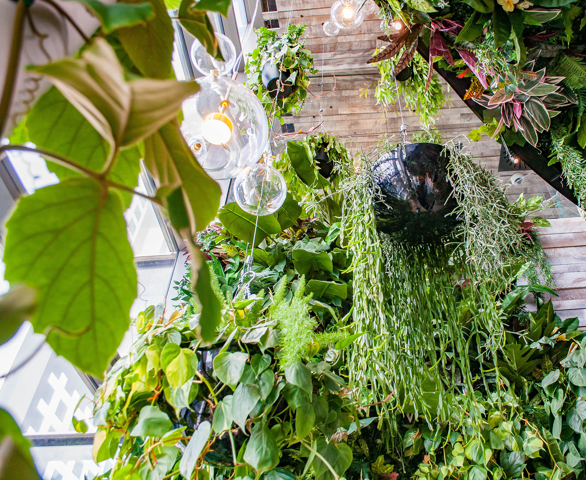 A ceiling of hanging plants hovers over the staircase at Heron Tower