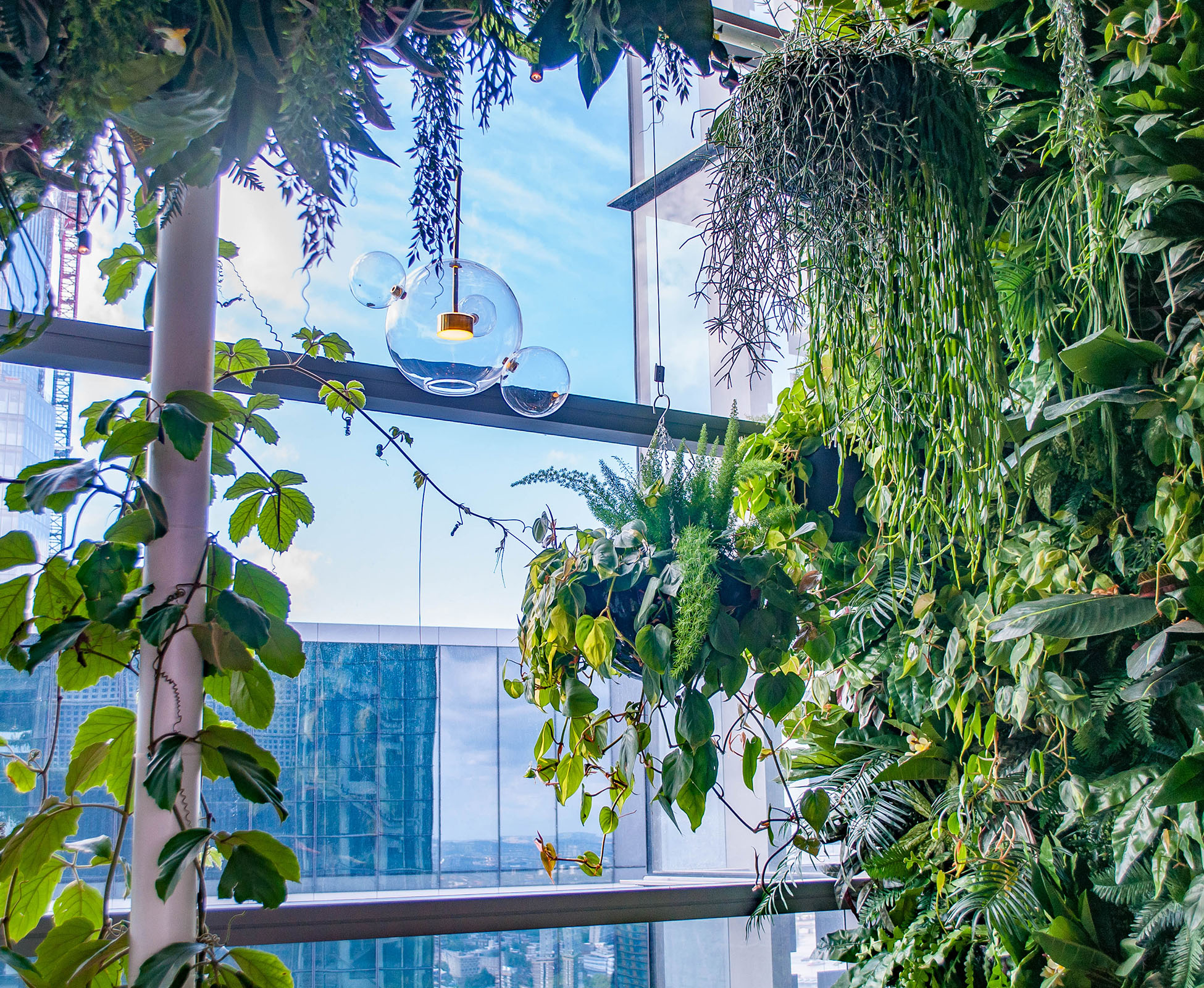 Skyline view from SushiSamba Heron Tower framed by a combination of hanging and climbing plants.