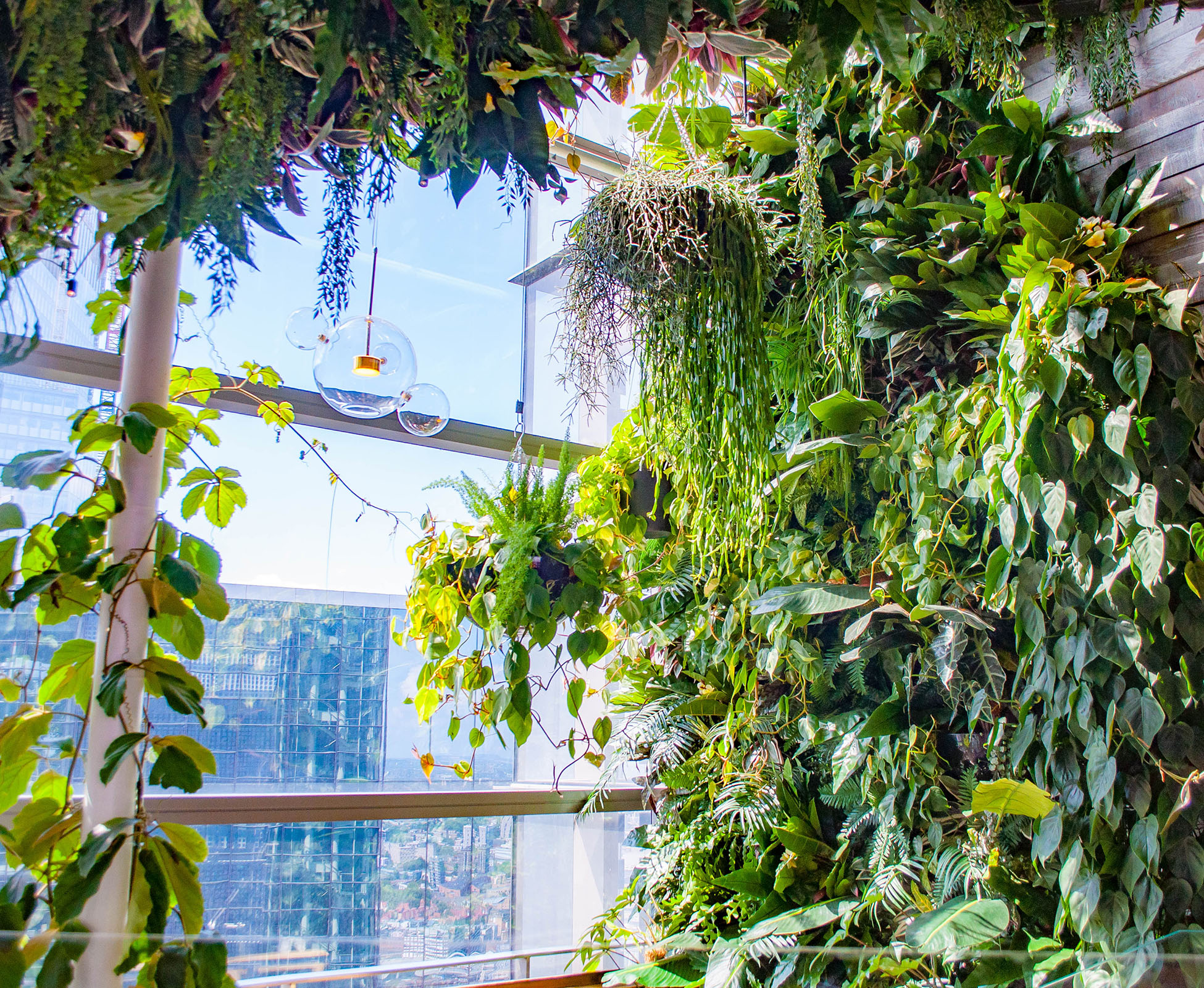 The vertical wall of cascading plants, merges into the skyline view from SushiSamba Heron Tower.
