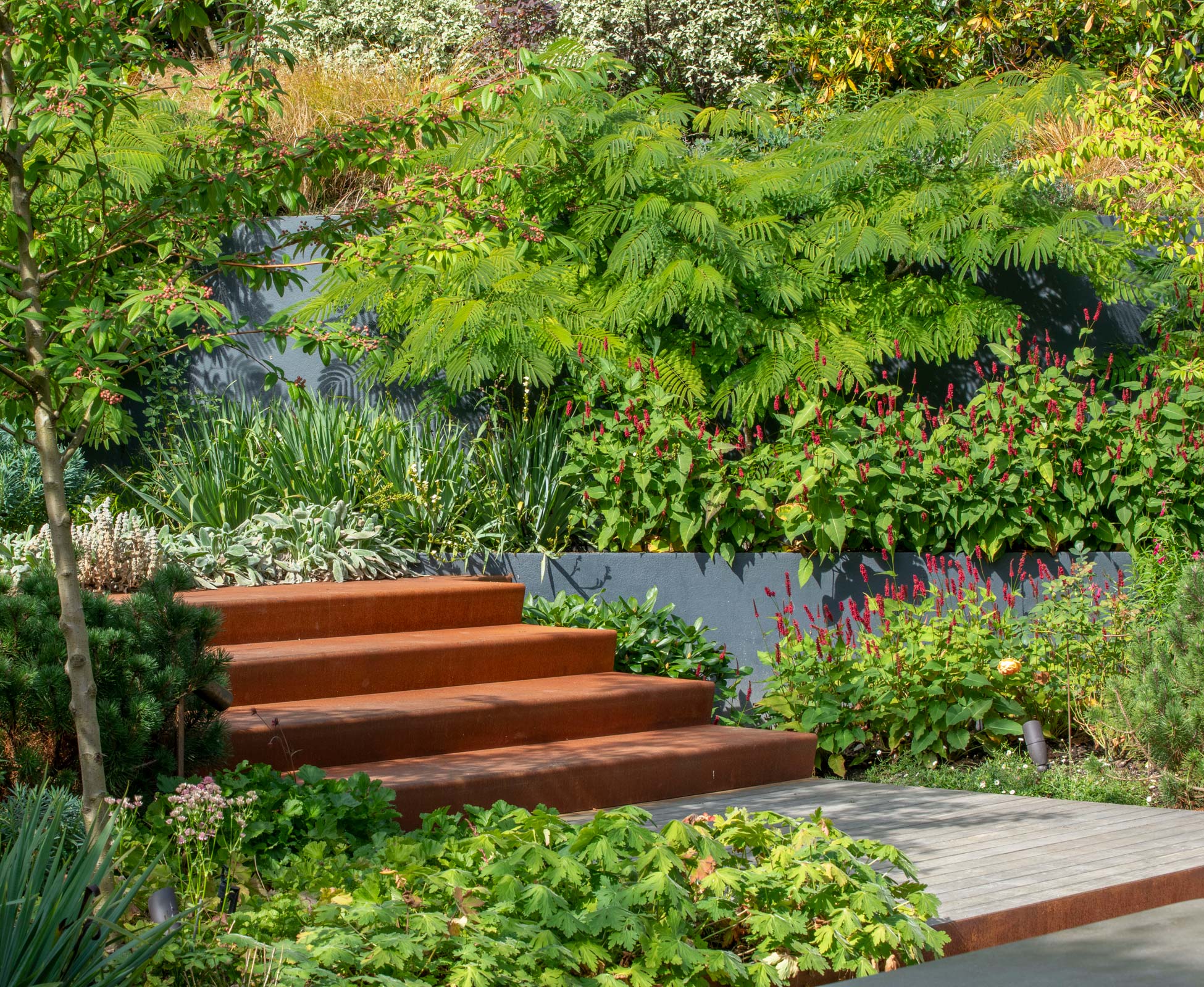 the-villa-garden-corten-steps-decking-persicaria-cotoneaster-path-enveloped-green-06.jpg