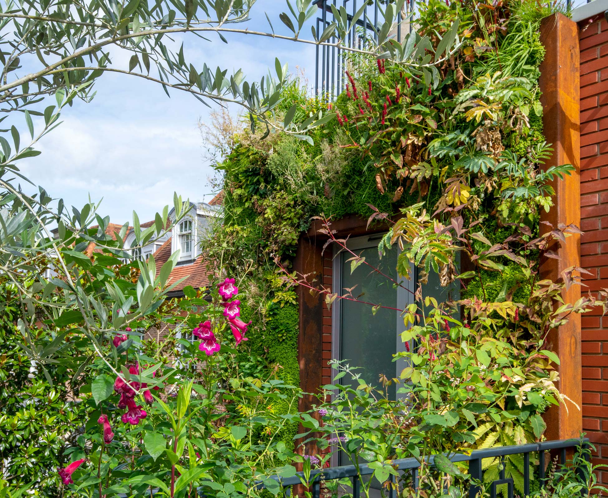 A corten steel detailing around the window frame to conceal the edge of the living wall.