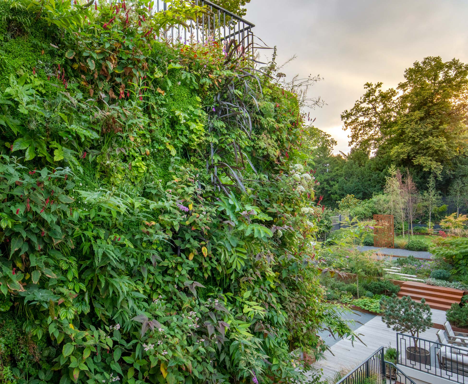 A living green wall covers part of the rear house facade softening its appearance and enveloping the entire property in luscious planting.