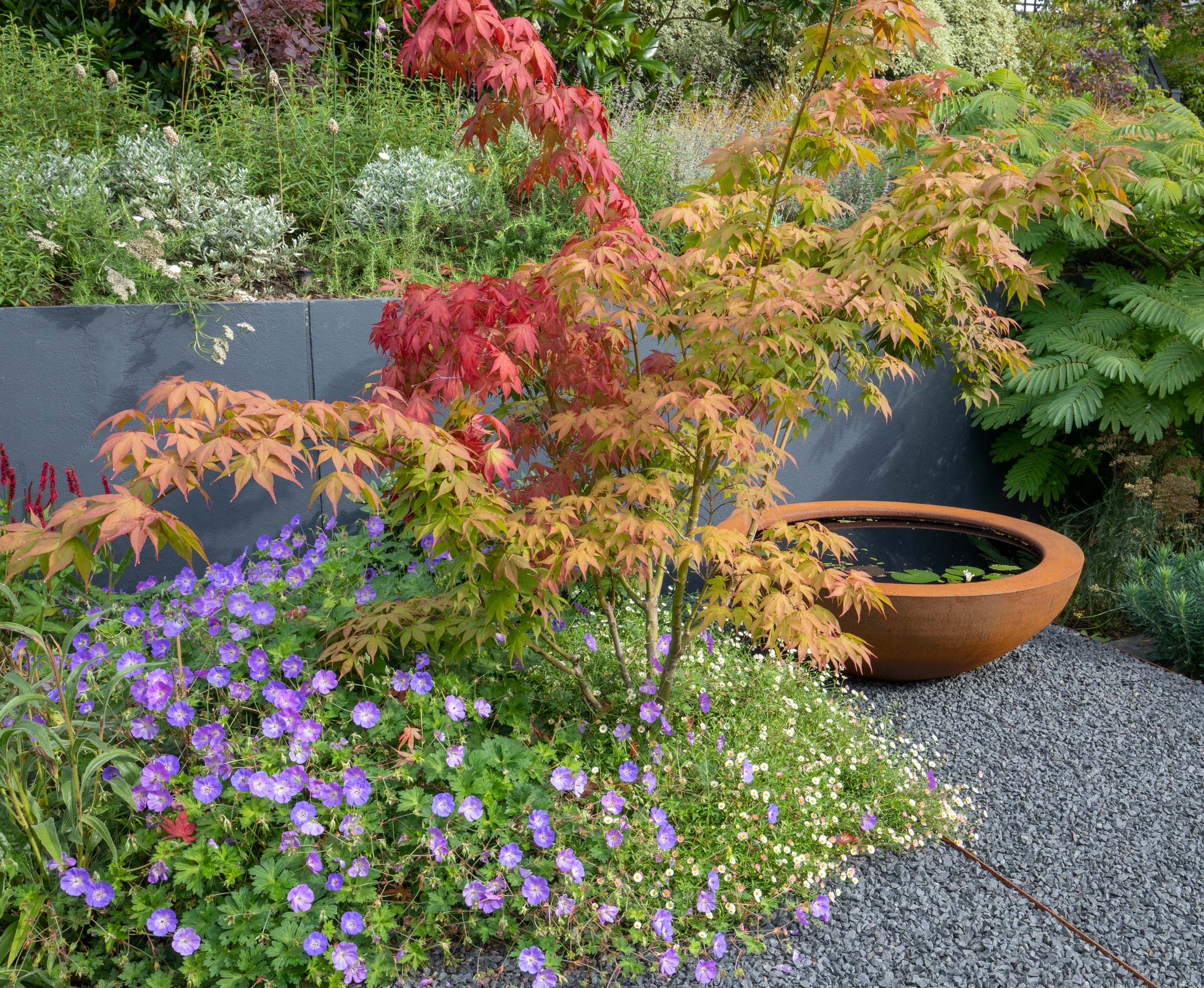 the-villa-garden-water-bowl-feature-corten-acer-gravel-geranium-rozanne-09.jpg