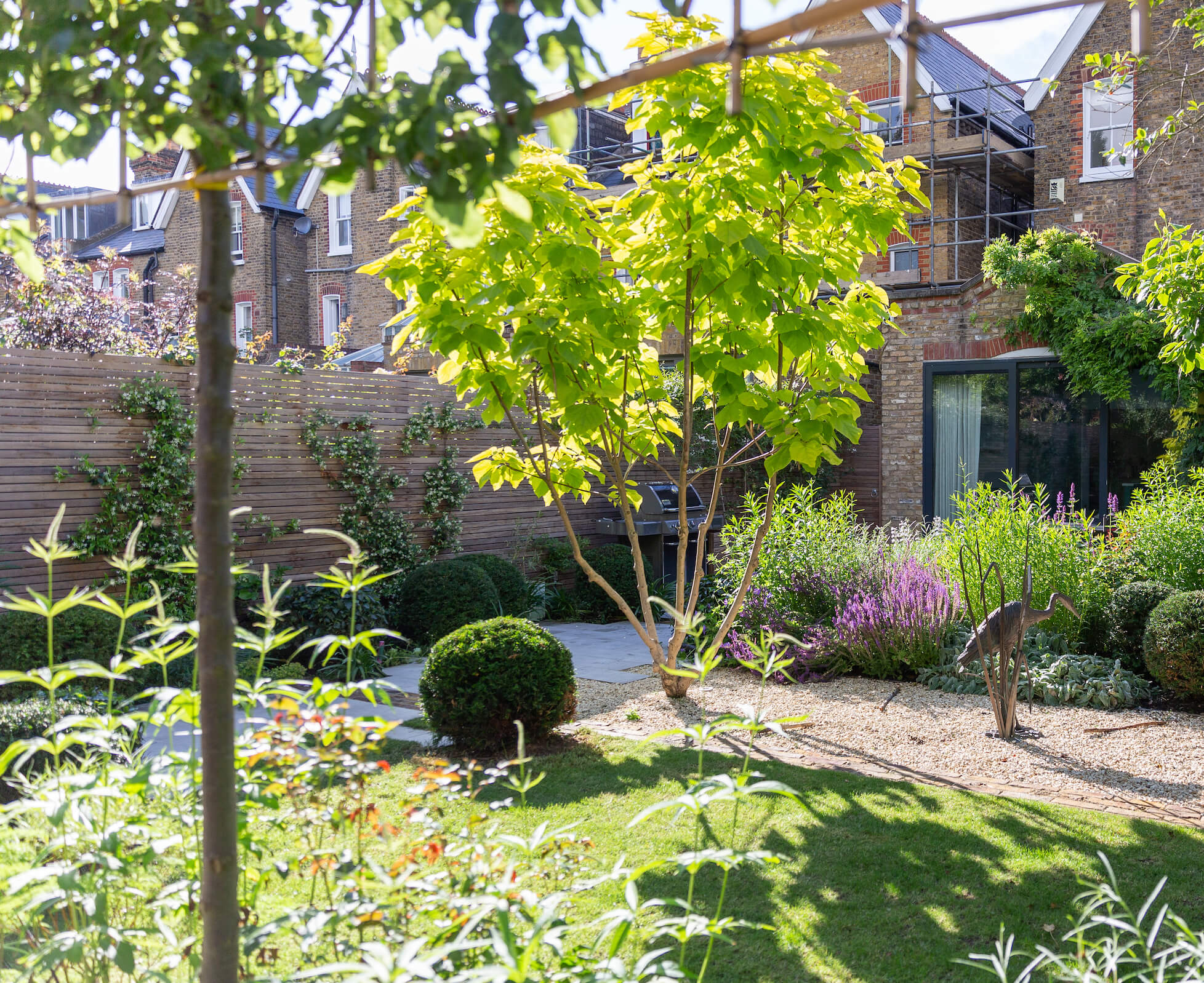 In this Tufnell Park garden, the Catalpa Aurea multistem provides a visual distraction from the rear studio.