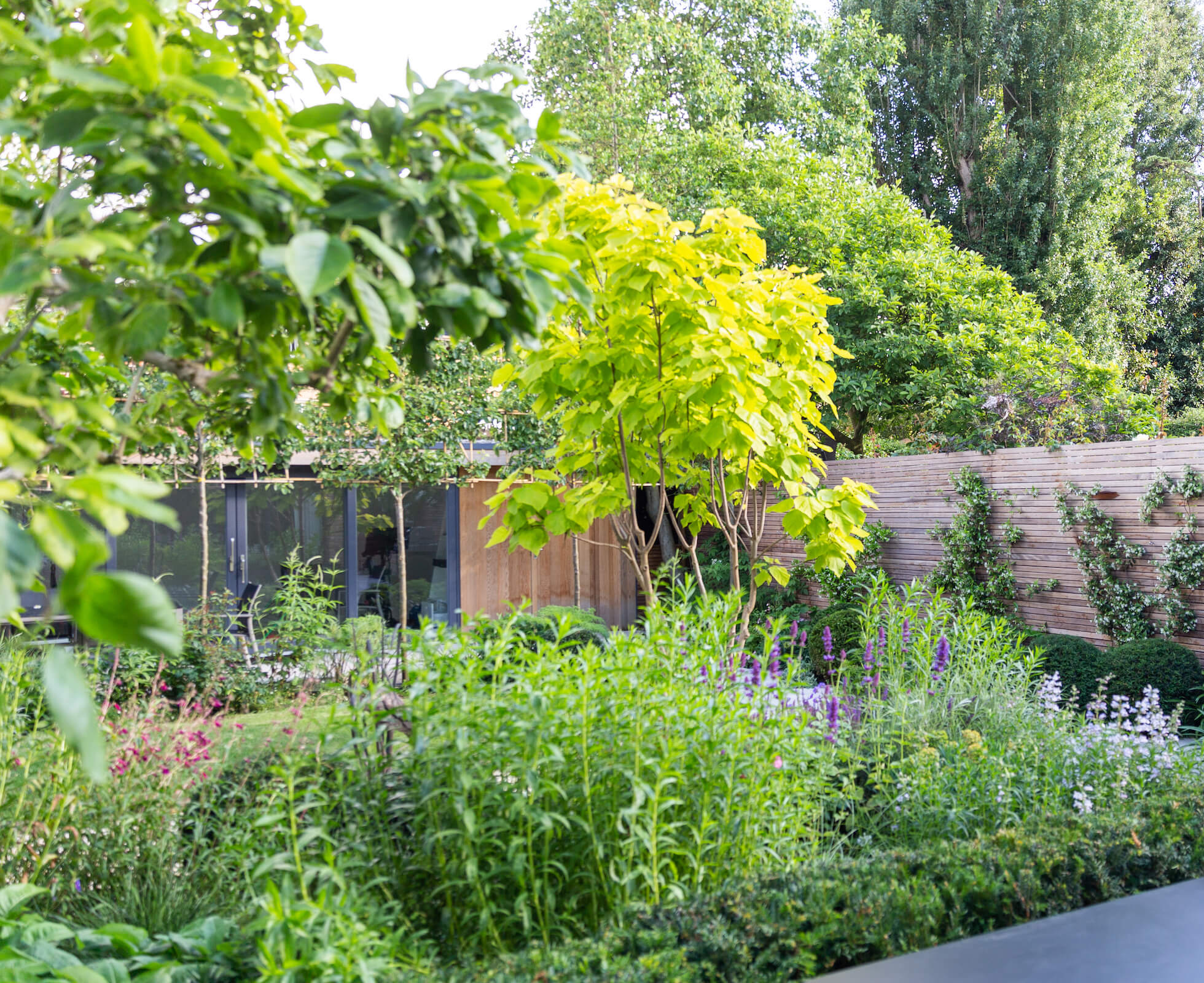 The view out from the patio, kitchen and lounge is softened with a deep herbaceous planting border, creating layers and depth within the garden.