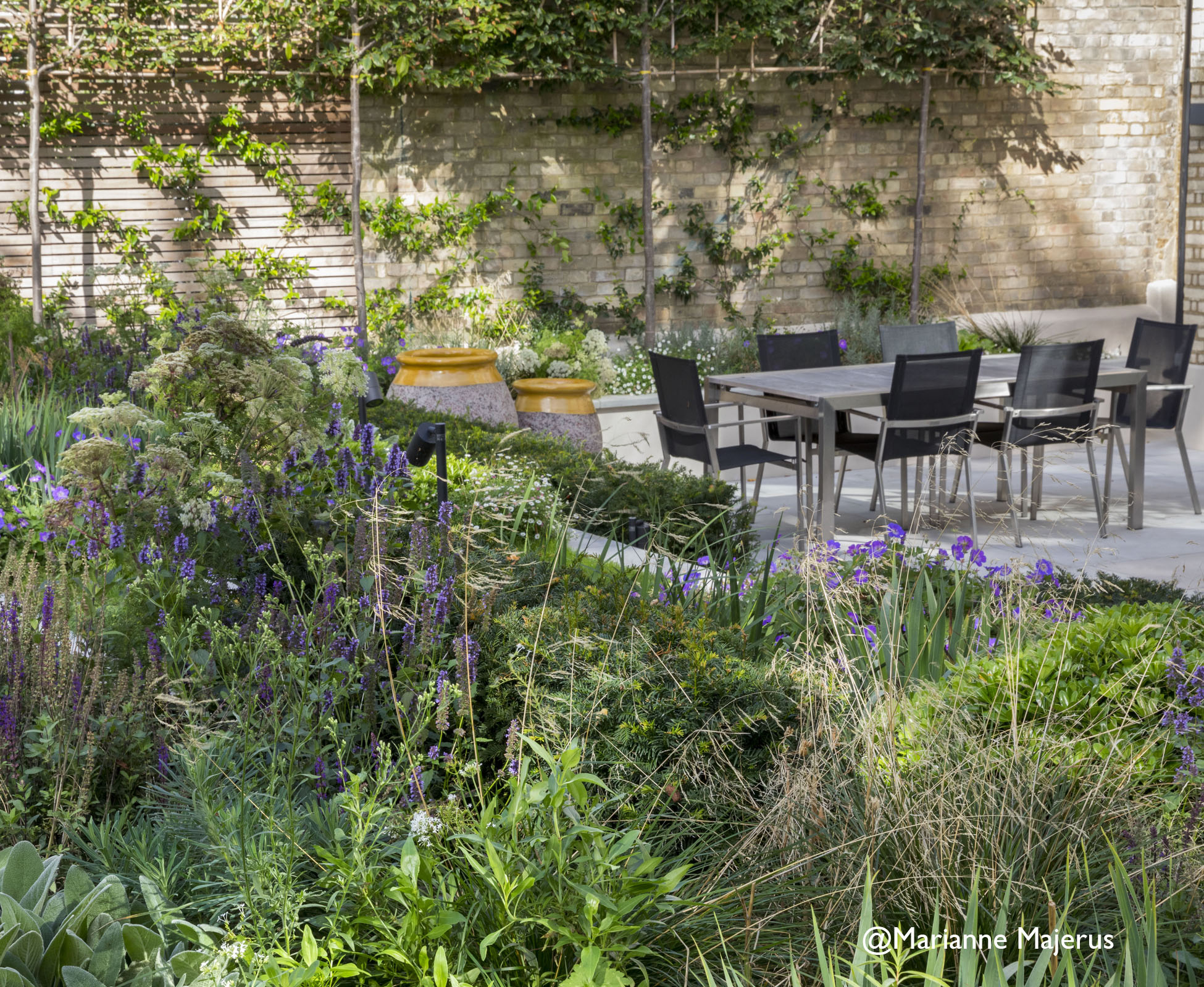 Dining area on the patio next to the beautiful pleached X Sycoparrotia semidecidua, an unusual variety of semi evergreen tree with attractive early flowers.