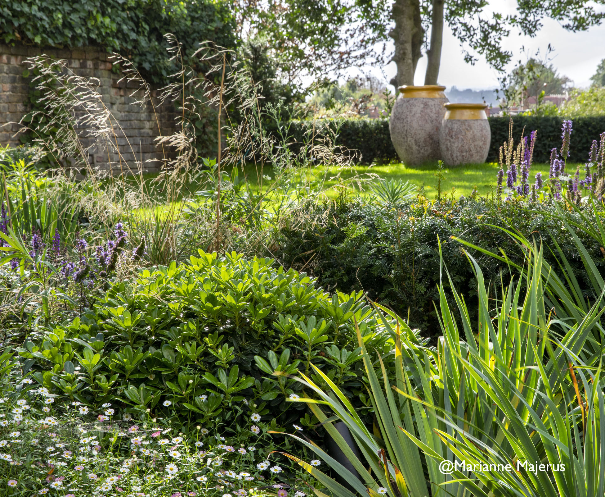 Close up of the planting, elegant clay pots with glazed yellow trim, echo the house interior details.