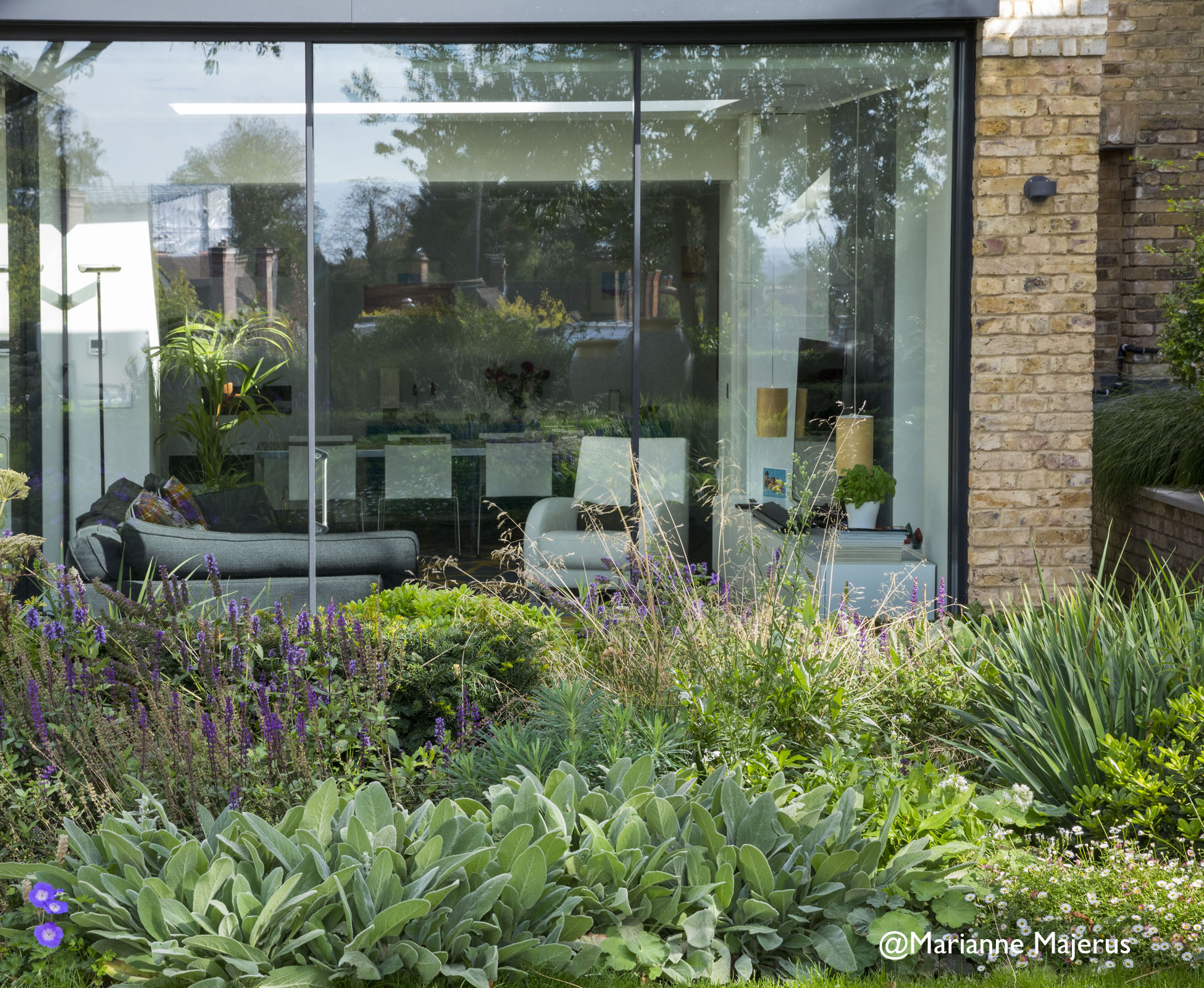 The soft palette of plants, create an attractive border adjacent to the ground floor extension.